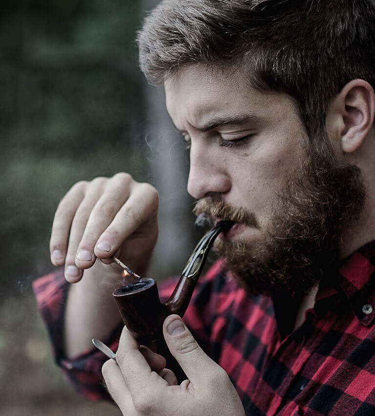 Aenean ligula molstie viverra fermentum